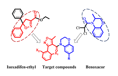 Microwave-assistant Syntheses, Crystal Structures and Safener Activities of Two Substituted Phenyl Isoxazole Derivatives 2011-3142